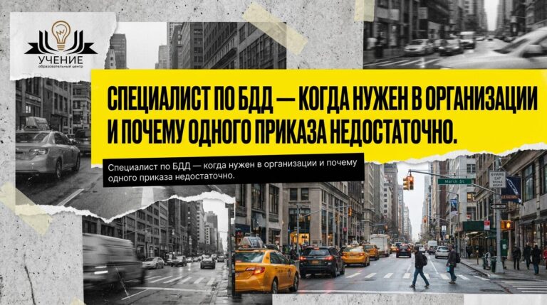 Специалист по БДД — когда нужен в организации и почему одного приказа недостаточно