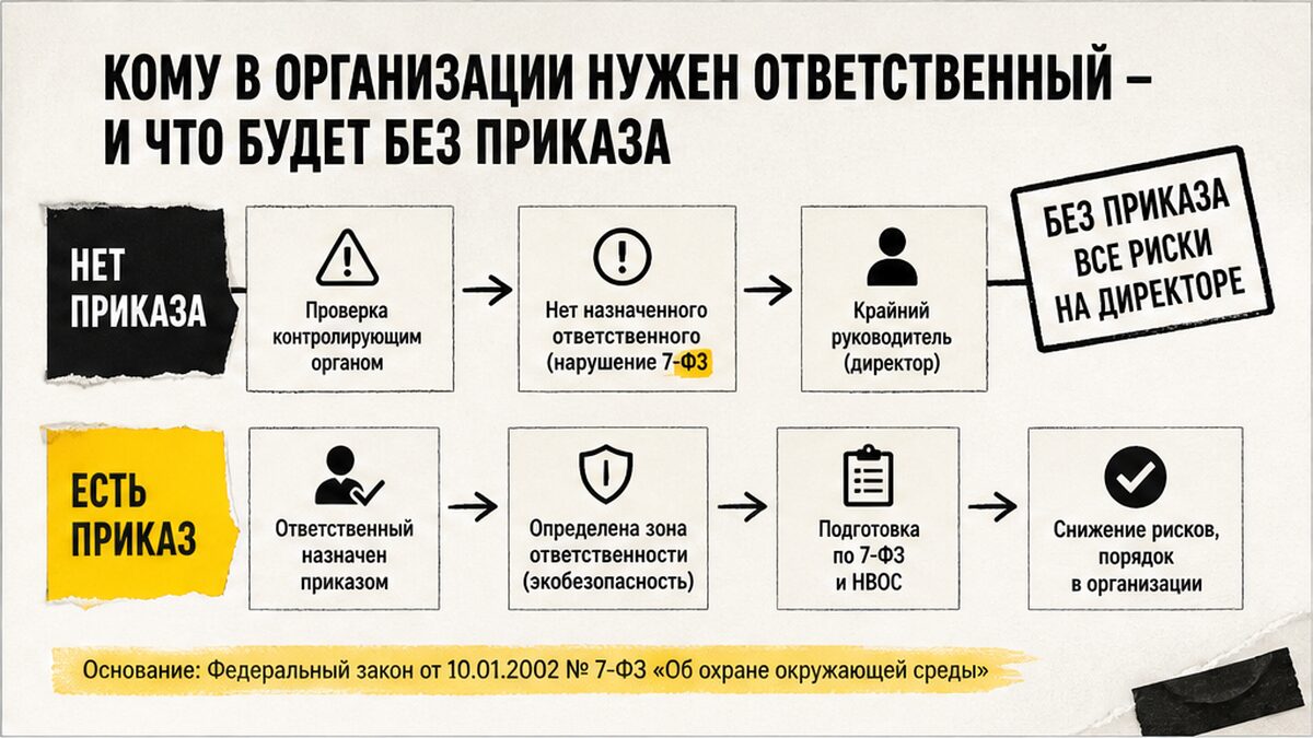Схема: кому нужен ответственный за экобезопасность и риск без приказа